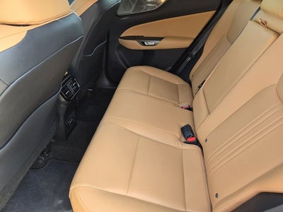 2024 Lexus NX 250 Premium