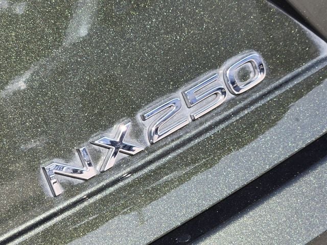 2024 Lexus NX 250 Premium