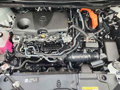 2026 Toyota Sienna Platinum 7 Passenger