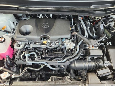 2025 Toyota Sienna XLE 7 Passenger