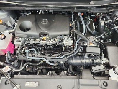 2025 Toyota Sienna XLE 8 Passenger