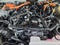 2026 Toyota 4Runner i-FORCE MAX Hybrid Platinum