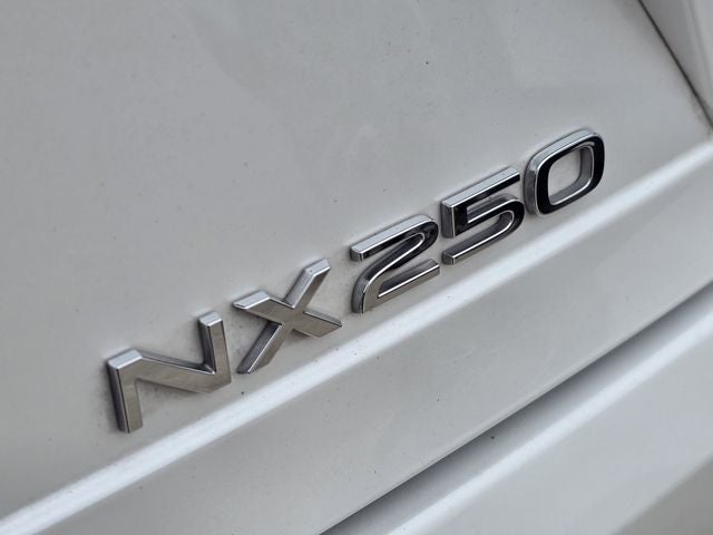 2024 Lexus NX 250 Premium