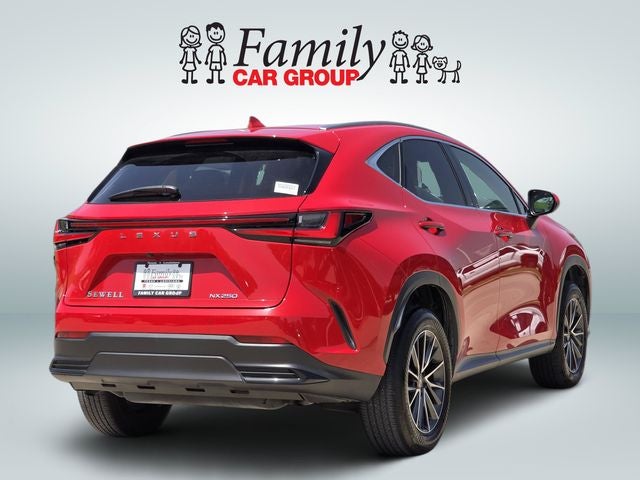 2024 Lexus NX 250 Premium
