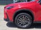 2024 Lexus NX 250 Premium