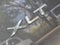 2019 Ford Transit Connect XLT