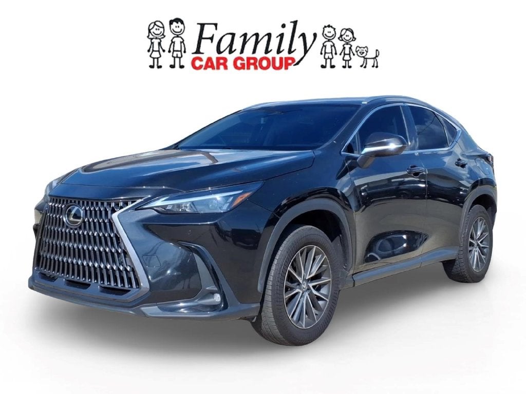2025 Lexus NX 250