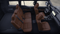 2025 Toyota Land Cruiser Land Cruiser