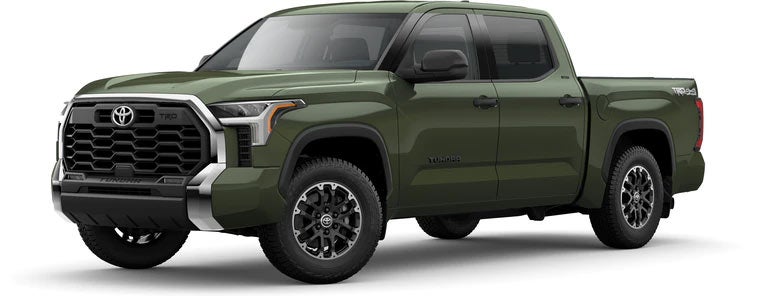 2022 Toyota Tundra SR5 in Army Green | Family Toyota of Arlington in Arlington TX